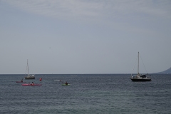 _DSC0774